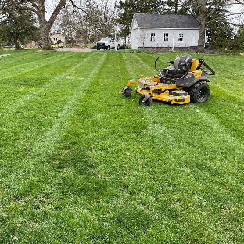 Lawn Care Practices Destroy Larvae Habitat