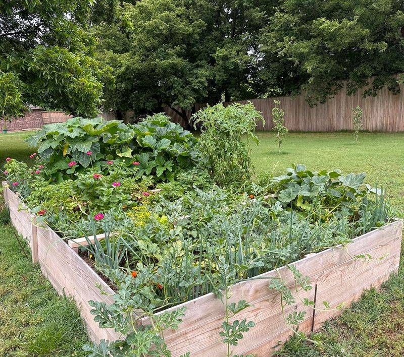 Resource-Intensive Vegetable Gardens