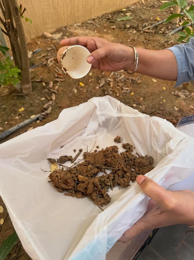 It Allows Better Timing With Frost-Free Dates