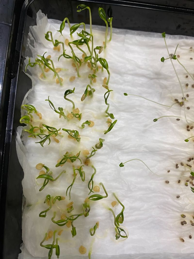 It Works Especially Well For Slow-Germinating Crops