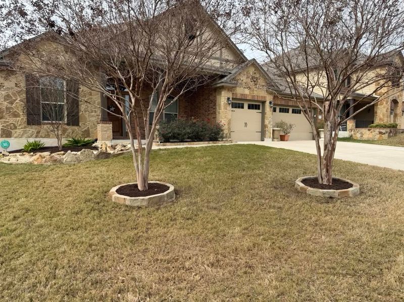 Selective Thinning Lets Light Reach Flowering Branches