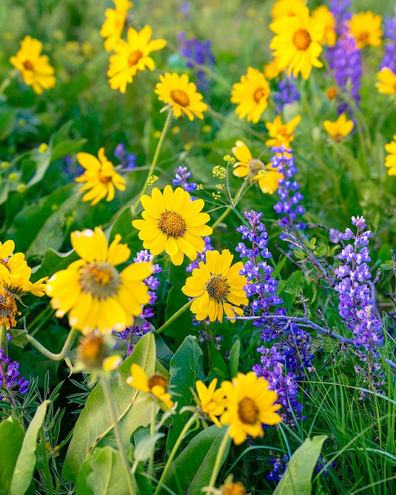 It Reduces Maintenance Time During Hot Months