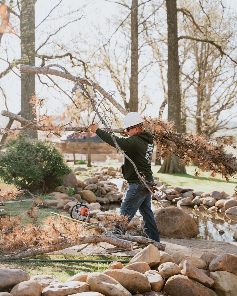 Inspect Your Yard For Winter Damage