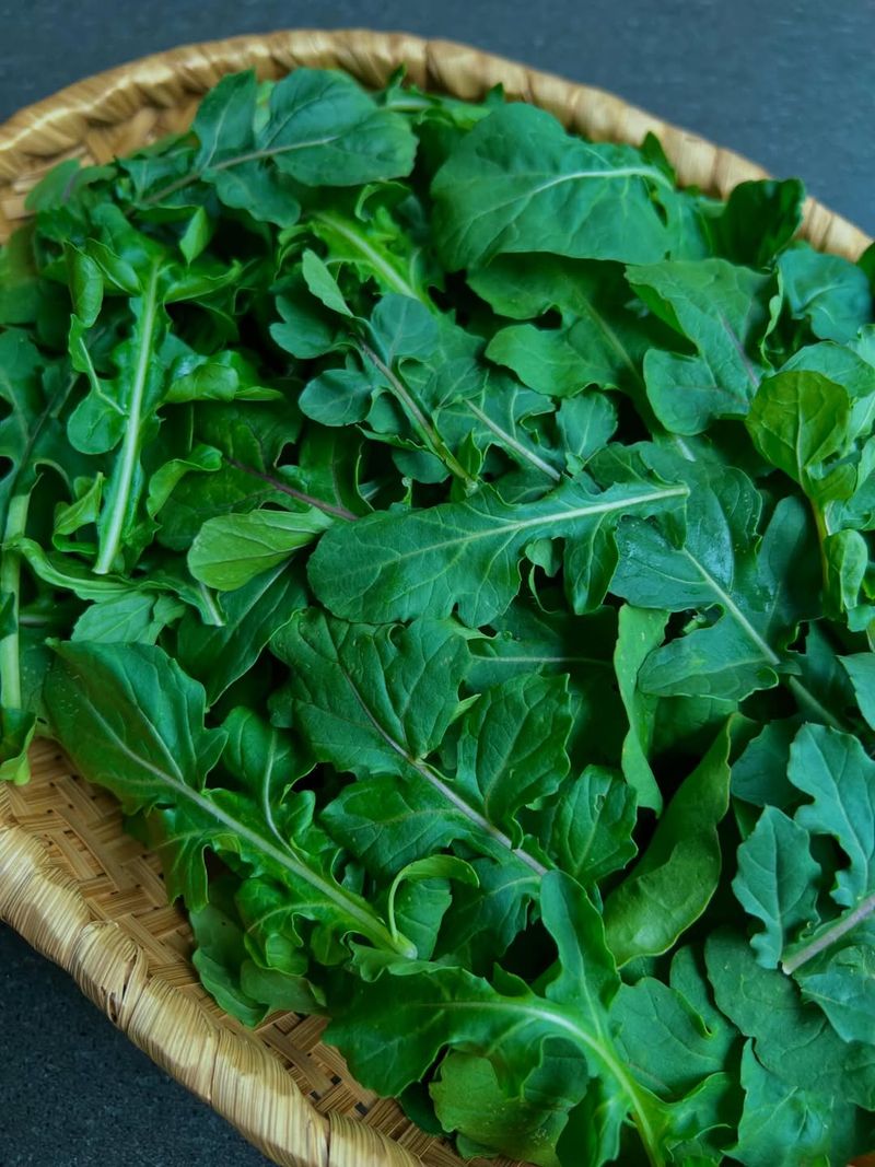 Arugula