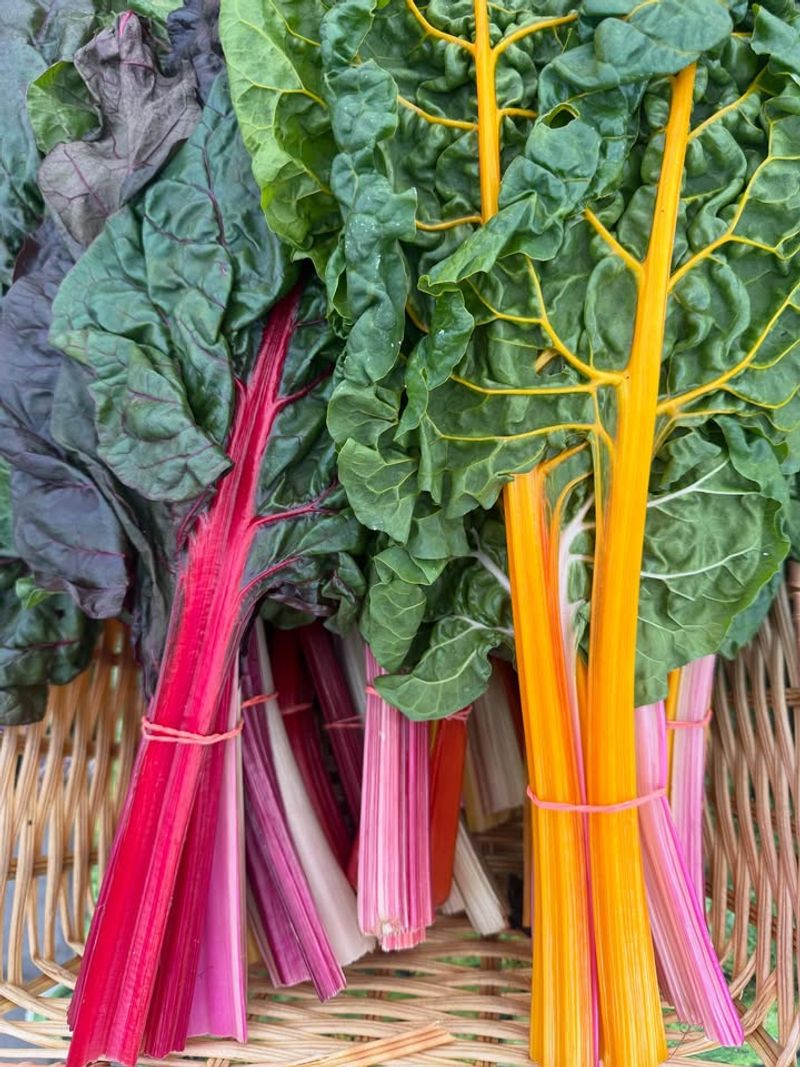 Swiss Chard