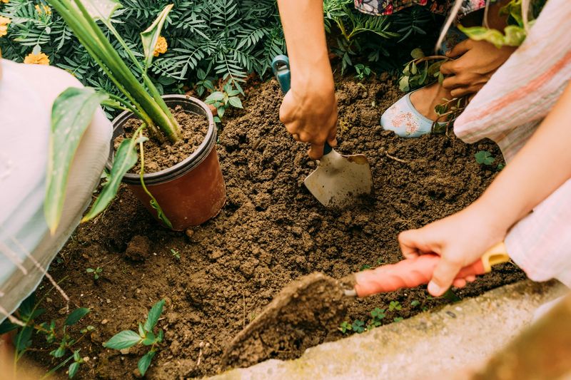 Prepare Your Soil Before Mulching