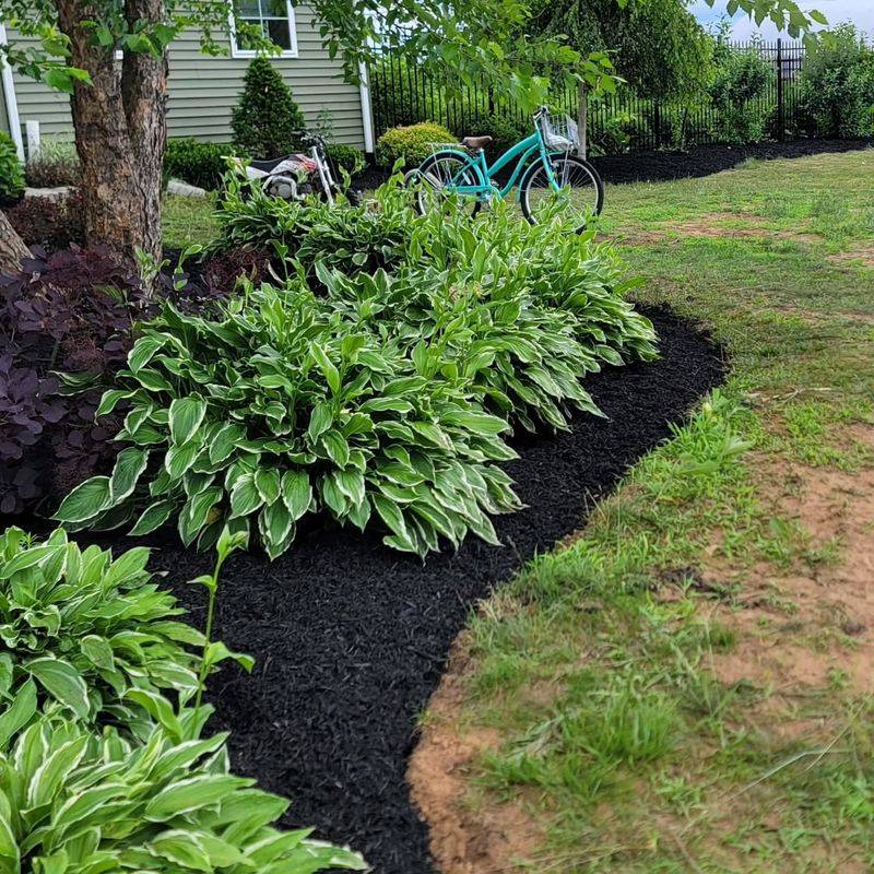 Refreshing Mulch At The Right Time Of Year