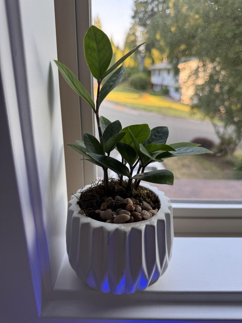 Using Pots Without Drainage