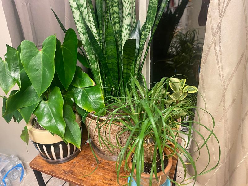 Ignoring Seasonal Light Changes