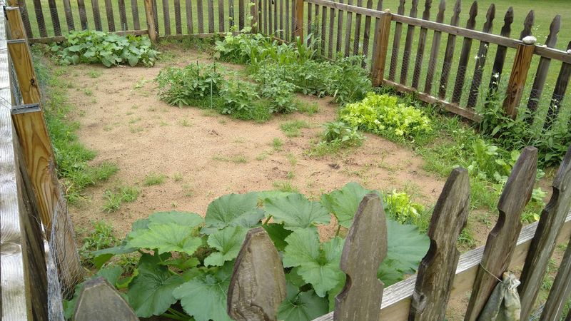 Improving Poor And Sandy Soils Over Time