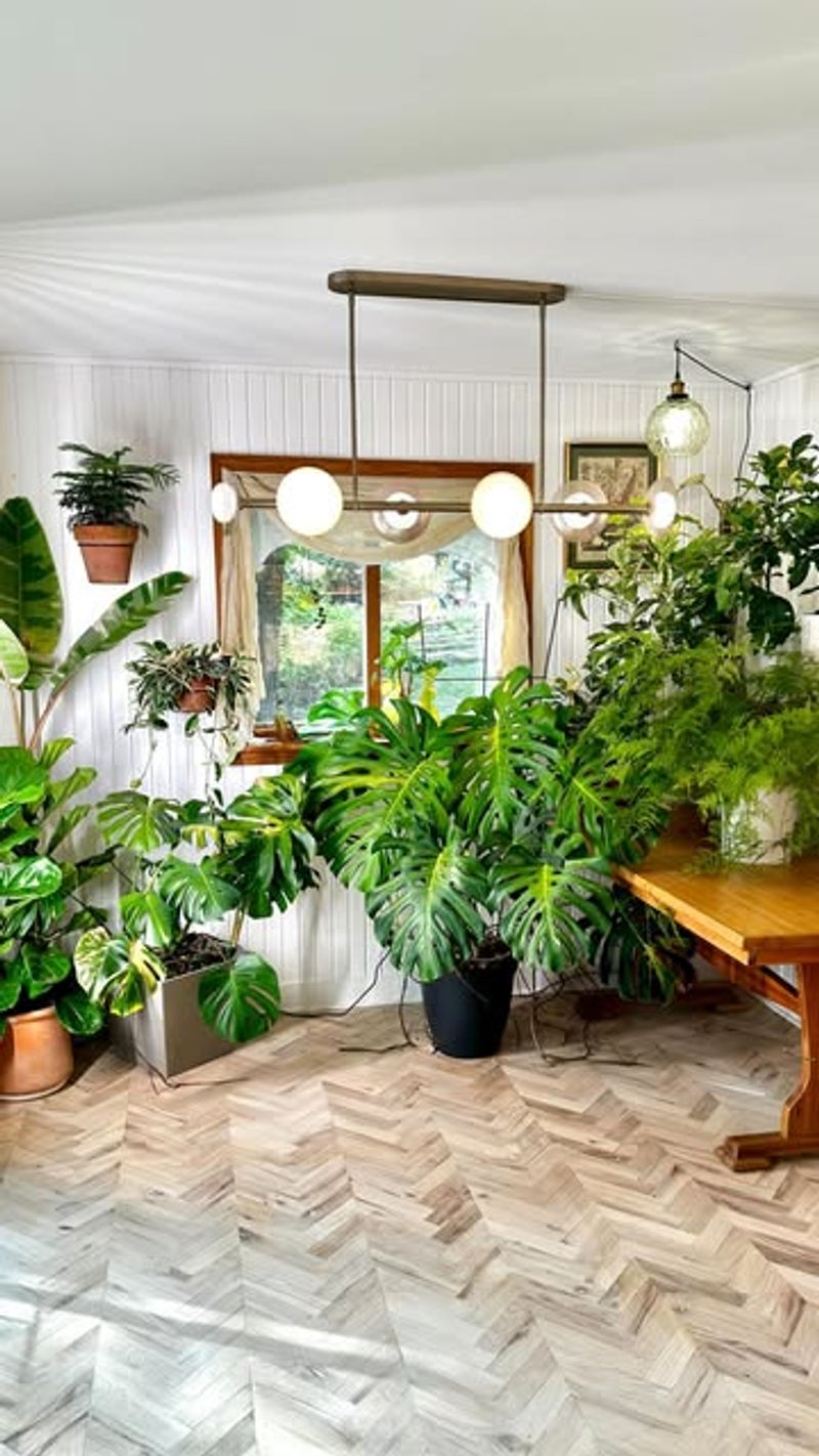 Raising Plants Onto Stands Or Shelves