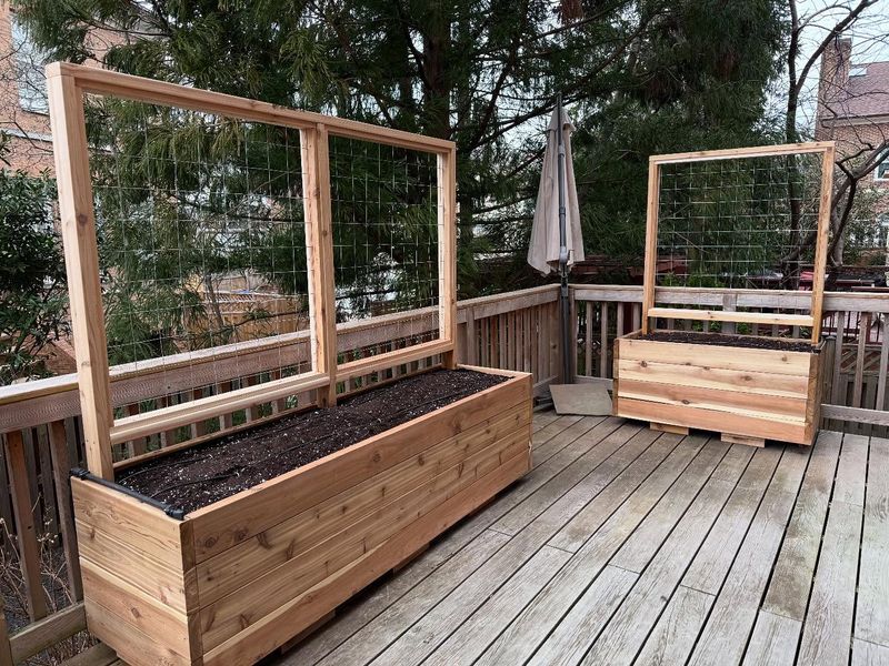 Raised Beds With Trellises