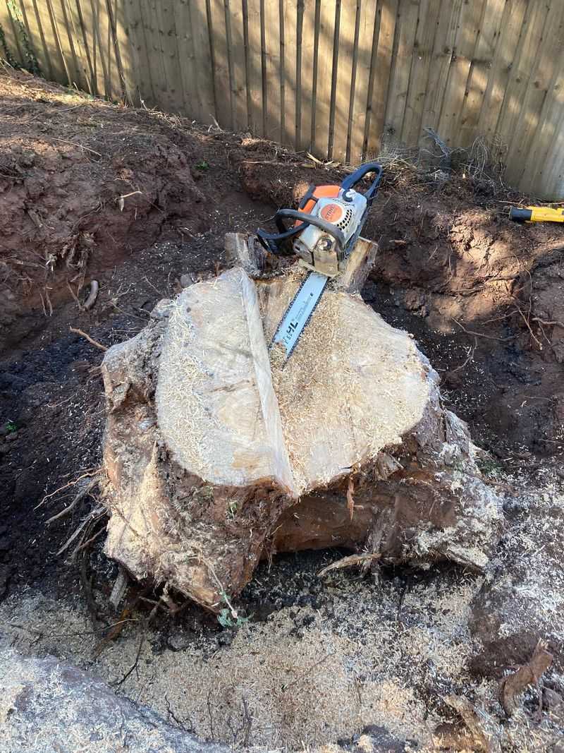 Choose The Right Time