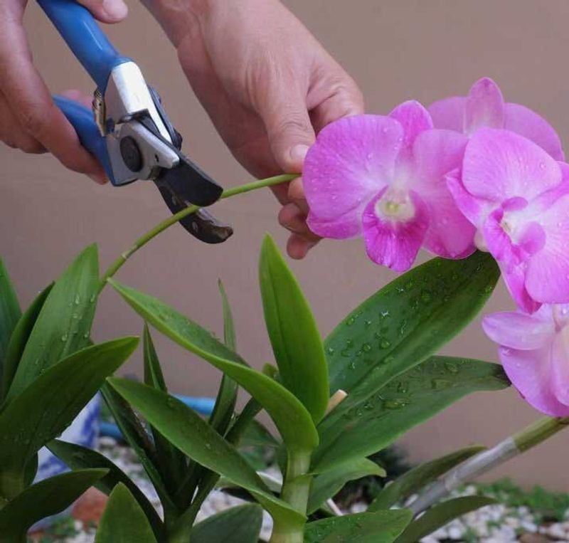 Use Clean, Sharp Tools