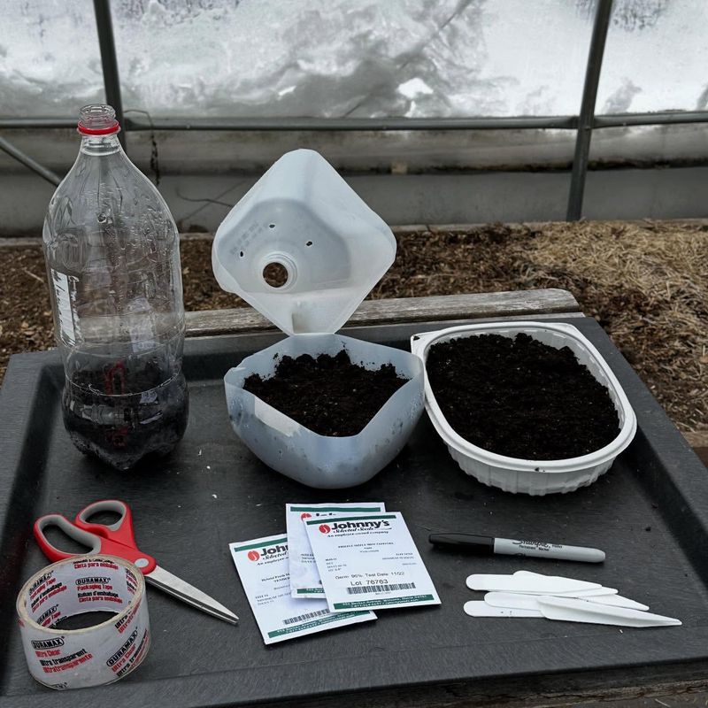 Water Lightly But Consistently