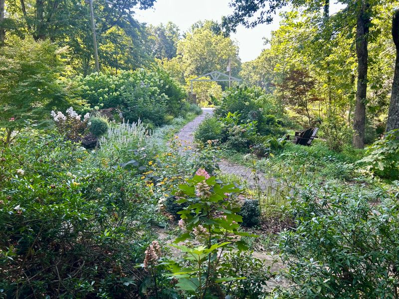 A Winding Garden Path Led Through The Newly Planted Landscape