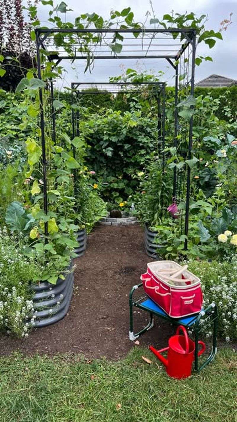 Early August For Fall Garden Preparation