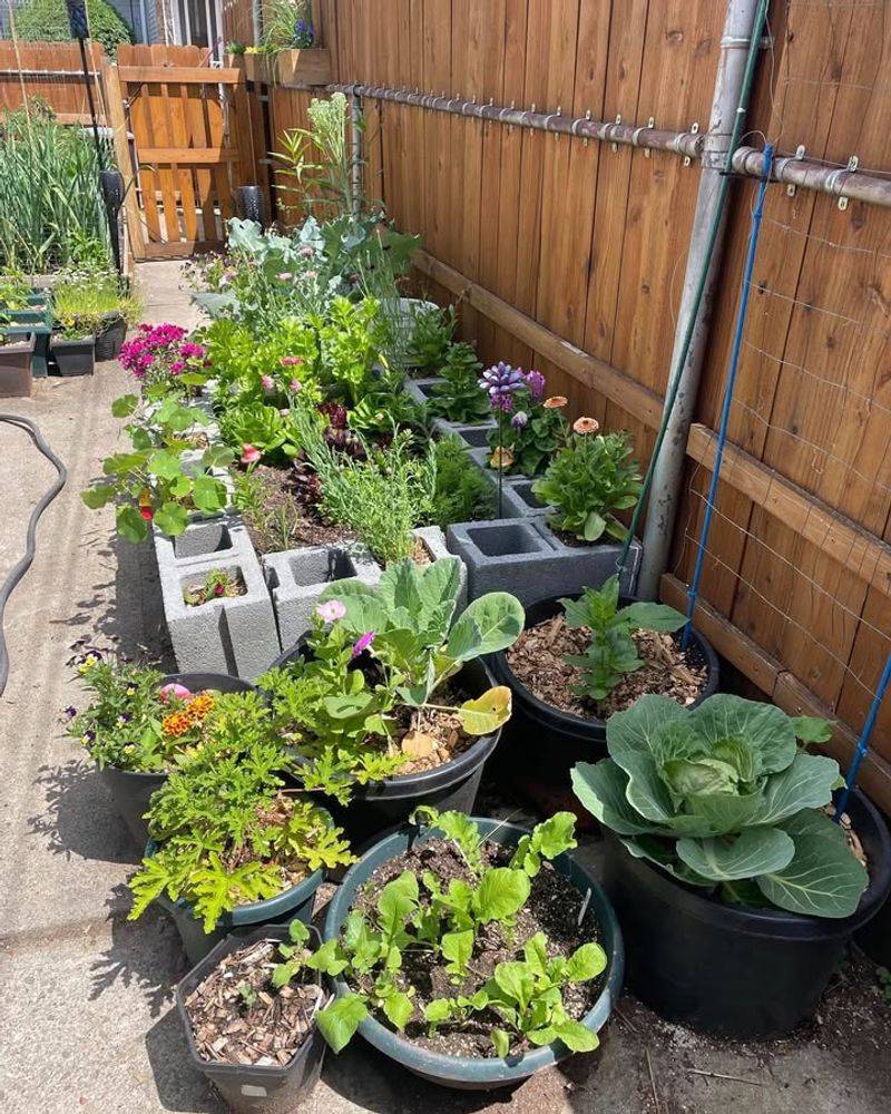 Backyard Food Gardens Expand Beyond Vegetables