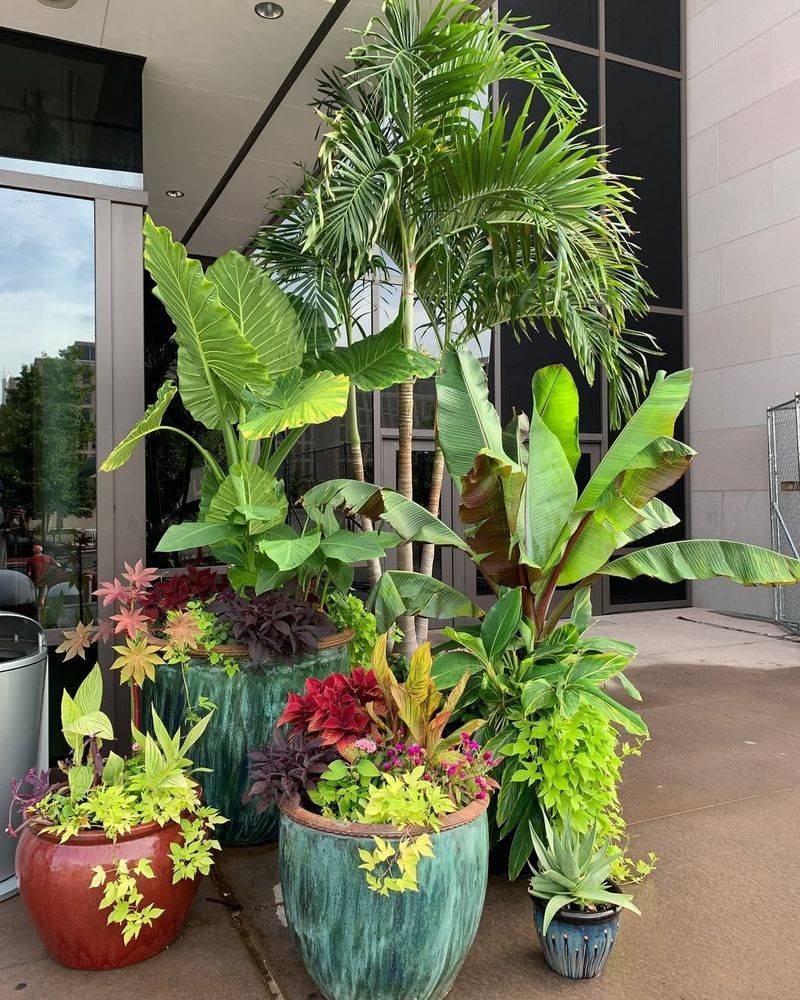 Anchor The Area With Container Plants