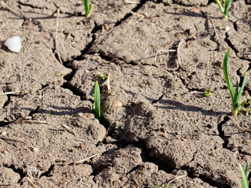 Soil Moisture Evaporation And Dryness