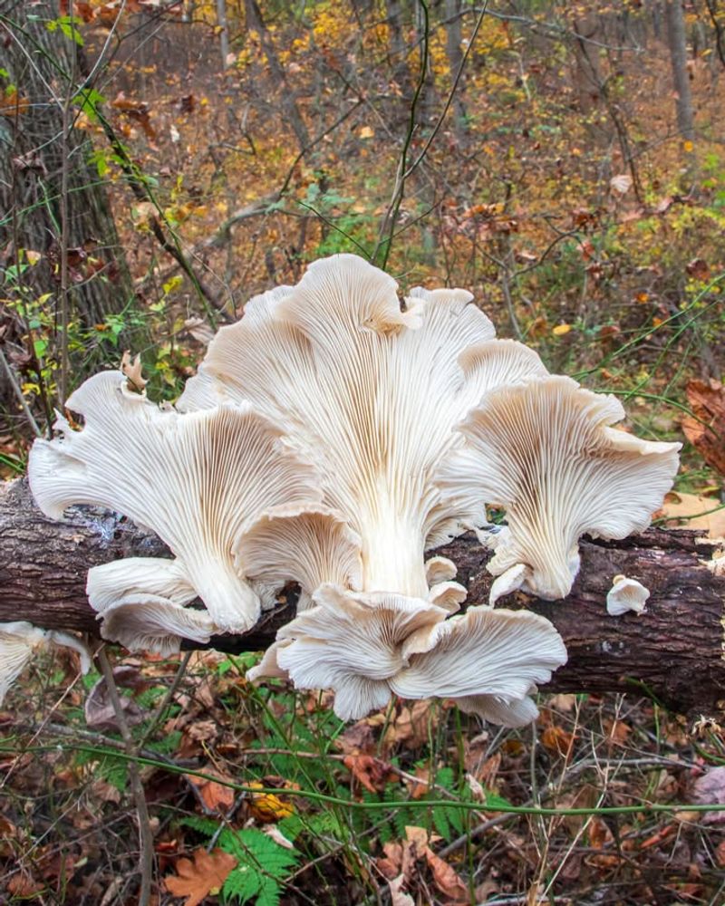 Educational Signage Or Labels