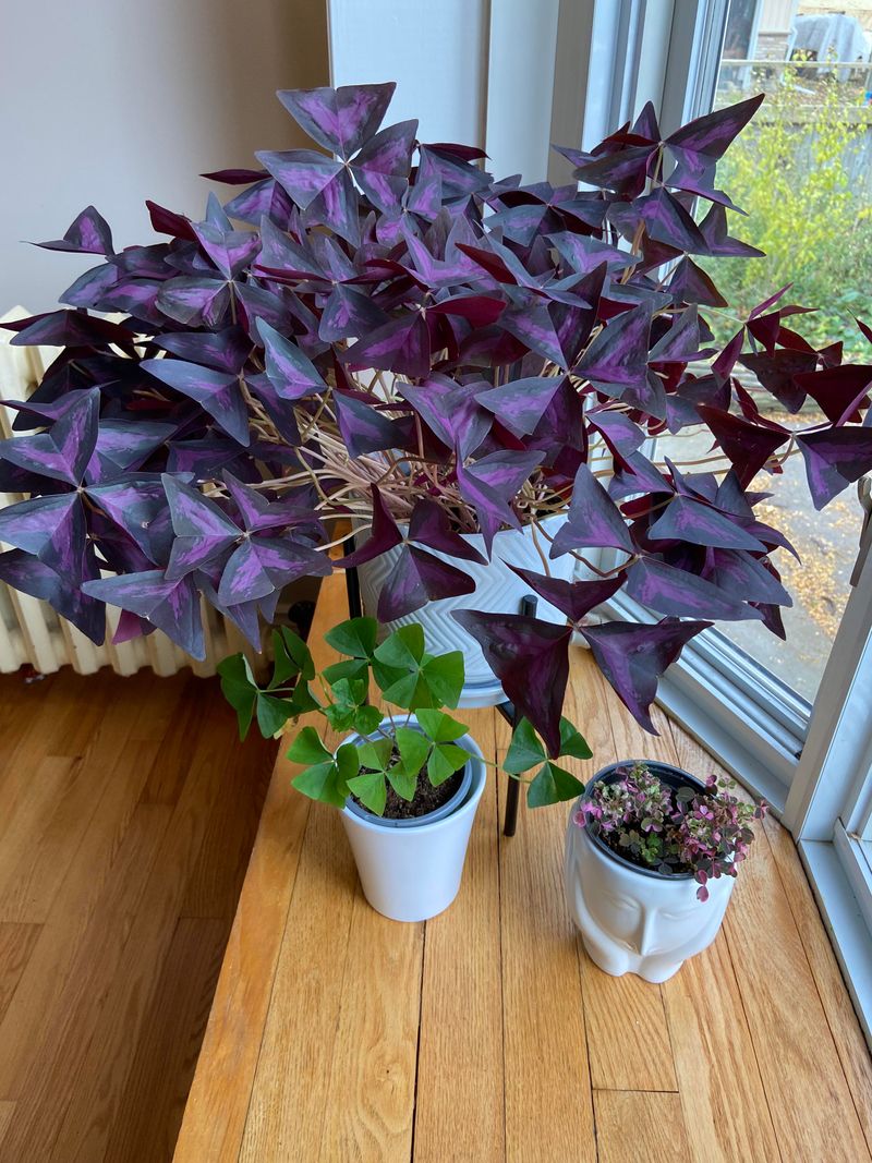 Forgetting To Adjust Care During Winter