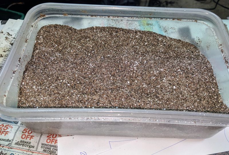 Use Banana And Coffee Together Safely