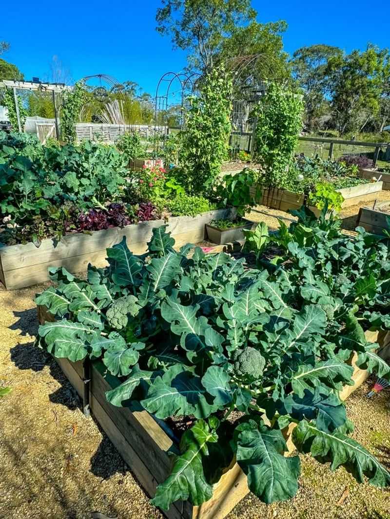 Embrace Seasonal Gardening Instead Of Fighting It