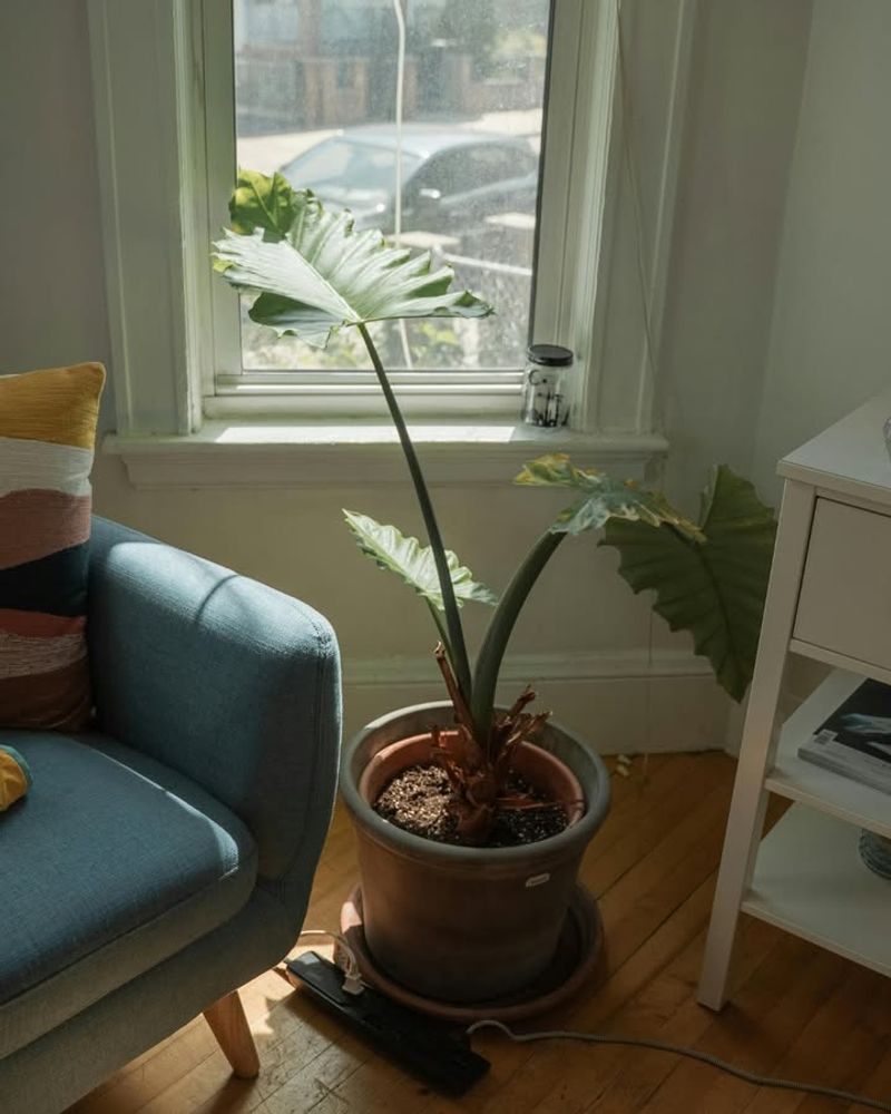 Keeping Windows Clean In Winter Months