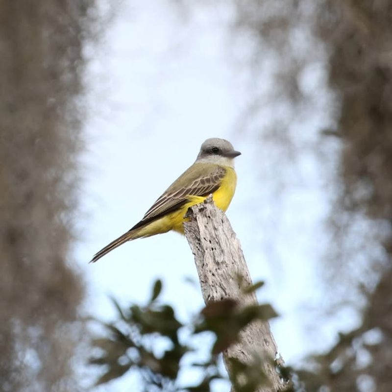 Providing Shelter From Heat And Storms