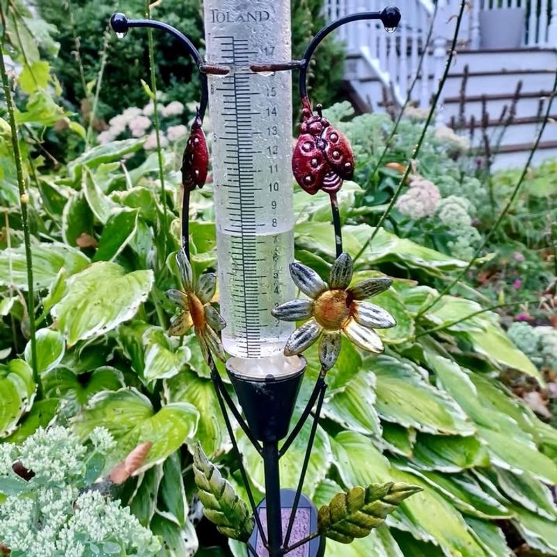 Not Adjusting For Rainfall