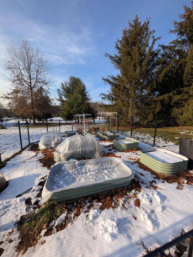 Gardening Focus Shifts Toward Late Winter Preparation