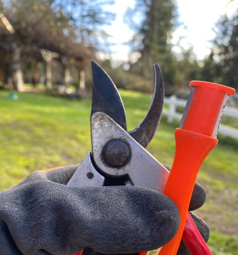 Use Clean Sharp Tools For Every Cut