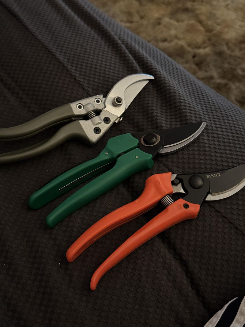 Sterilize Tools Between Cuts To Prevent Disease Spread