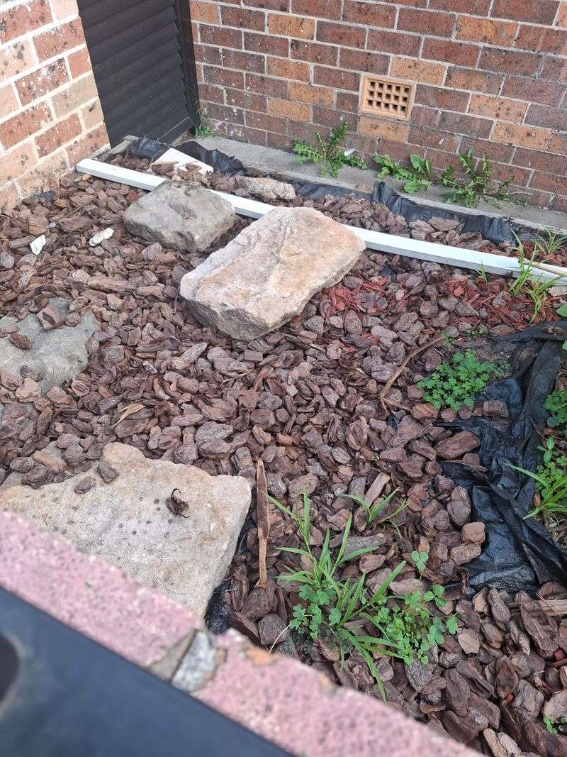 Making The Smart Choice For Your Yard