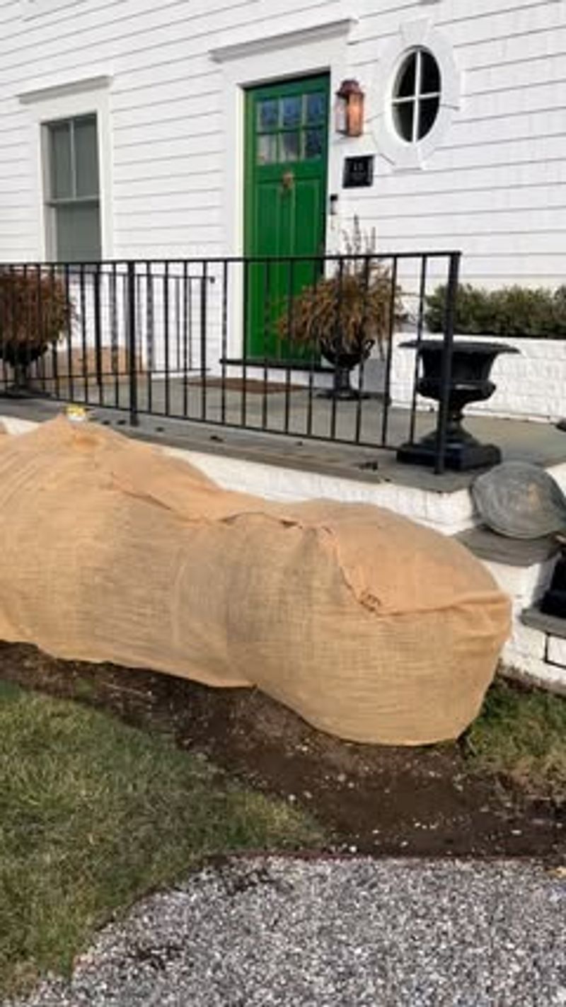 Simple Ways To Protect Plants Near Streets