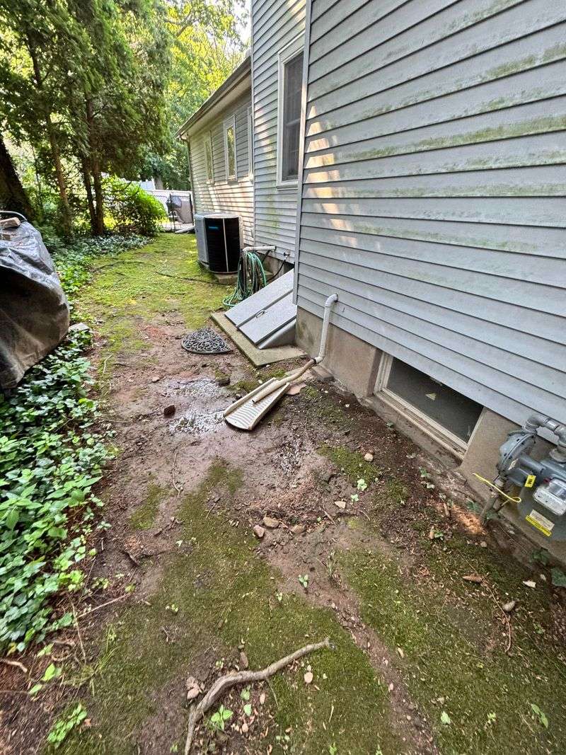 North-Facing Sides Of The Yard With Less Sun