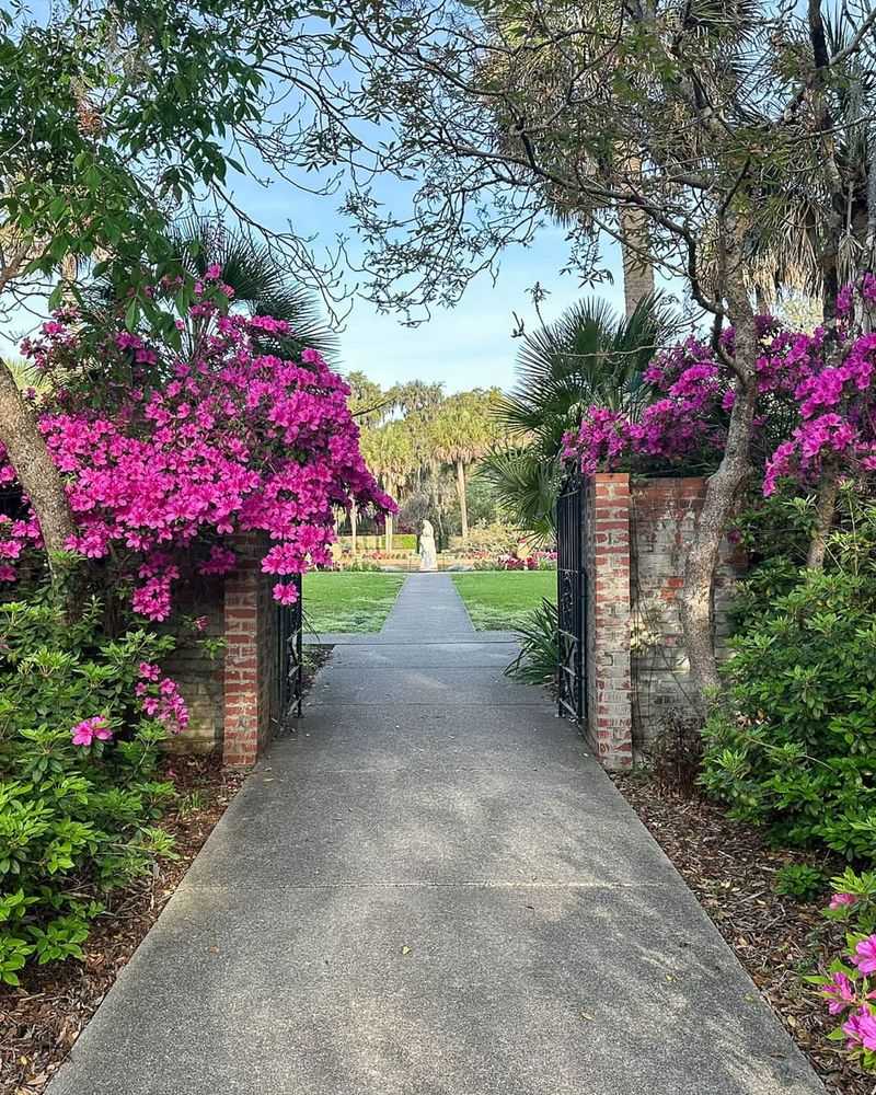 Close To Driveways Or Walkways With Salt Exposure