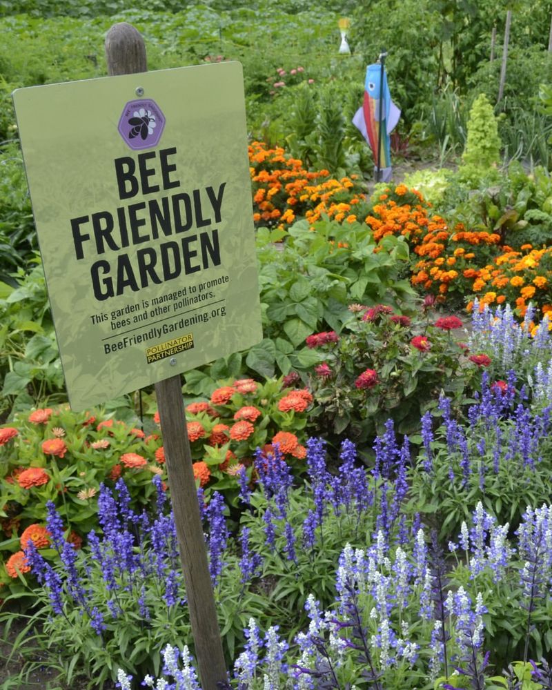 Pollinator Pathways Supporting Local Wildlife
