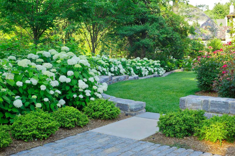 Versatile Sizes Fit Any Landscape Design