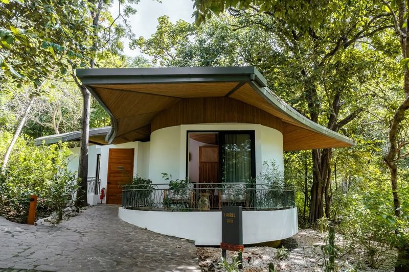 Connects You with Nature Daily