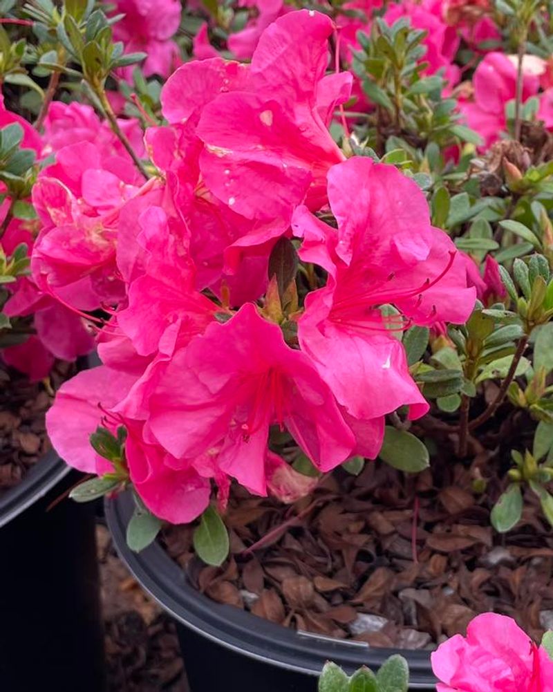 Exposed Wind Corridors