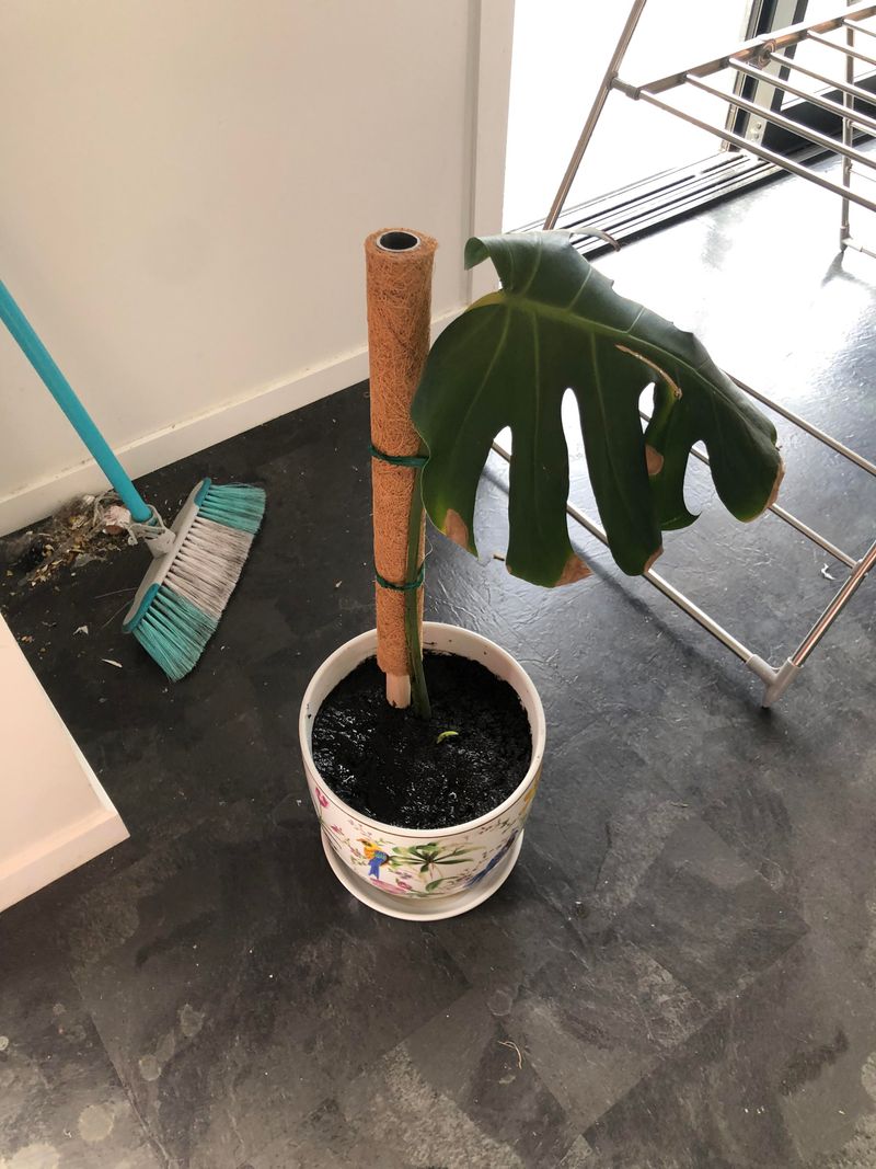 Soil Stays Wet For Too Long