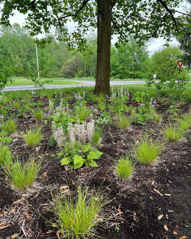 Climate Change Resilience Matters Now