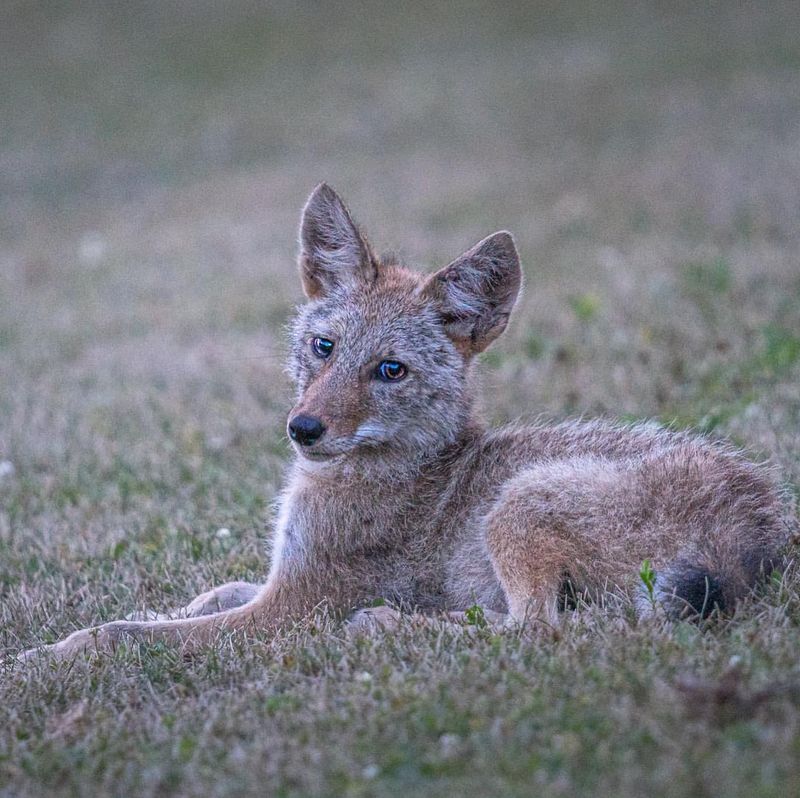 MISTAKE: Don't Leave Small Children Unattended