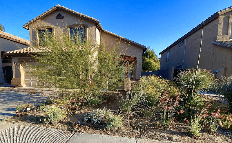 Prune And Shape Plants To Show Off Healthy Growth