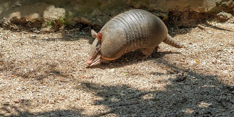 Install Physical Barriers