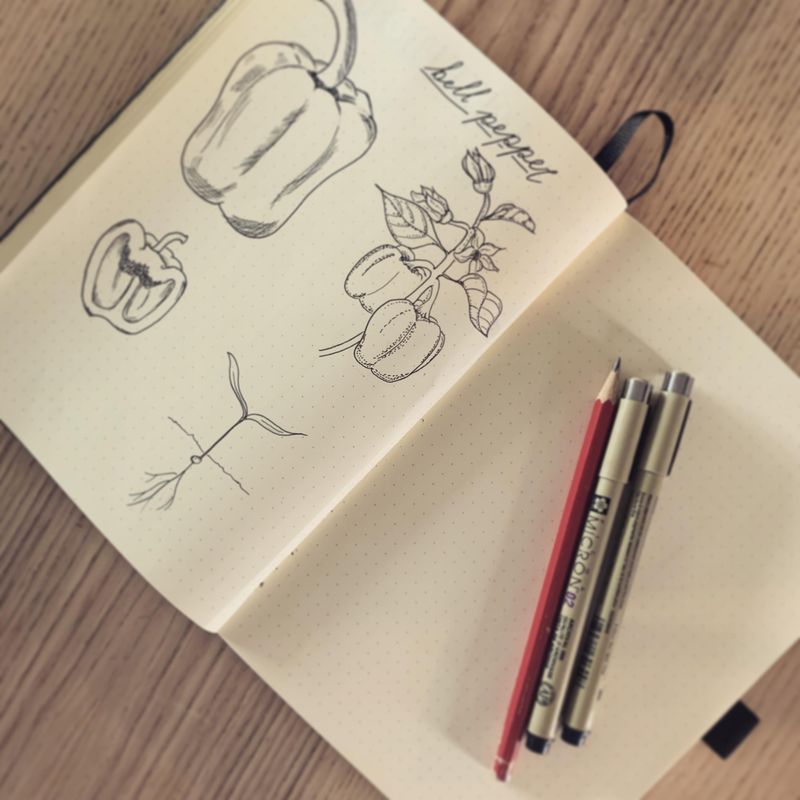 Review And Update Garden Records