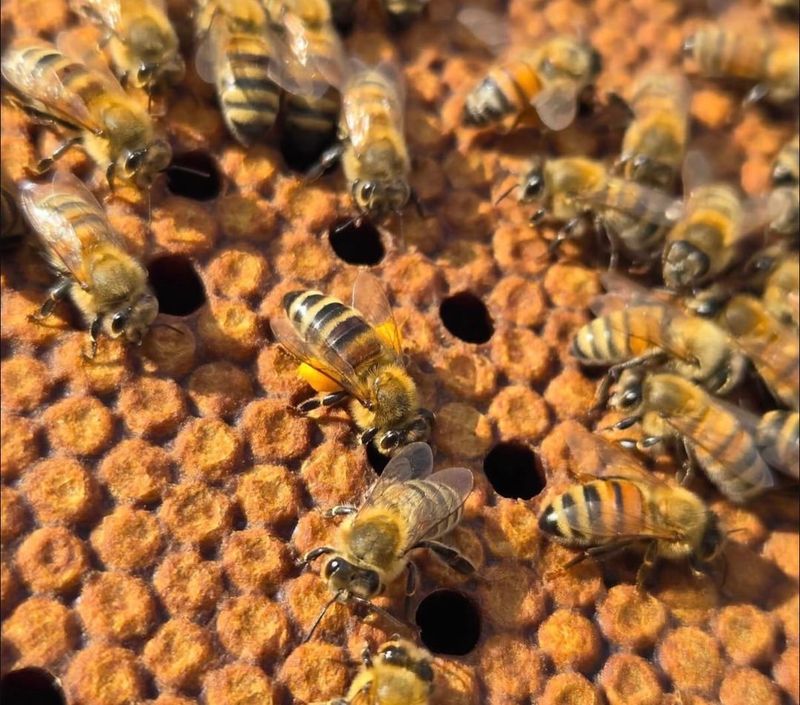 Provide A Constant Water Source