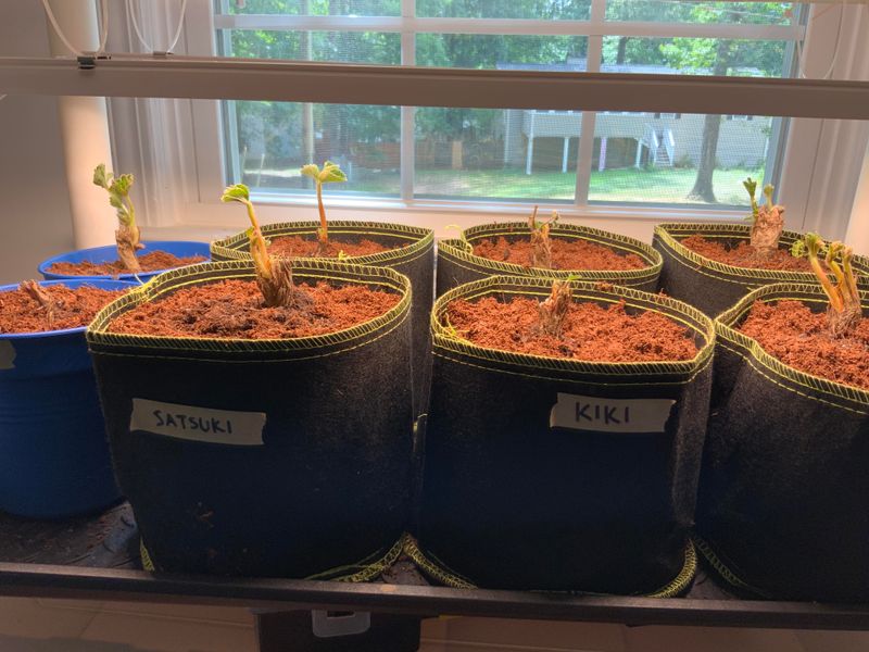 Water Consistently and Correctly